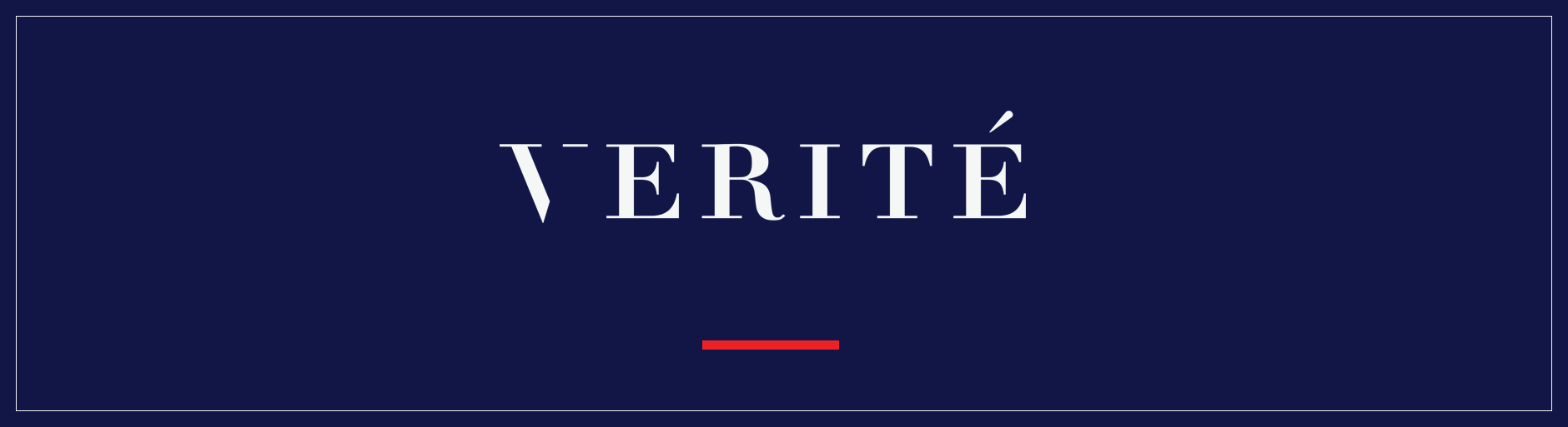 Verite Design Group Inc. Logo Banner